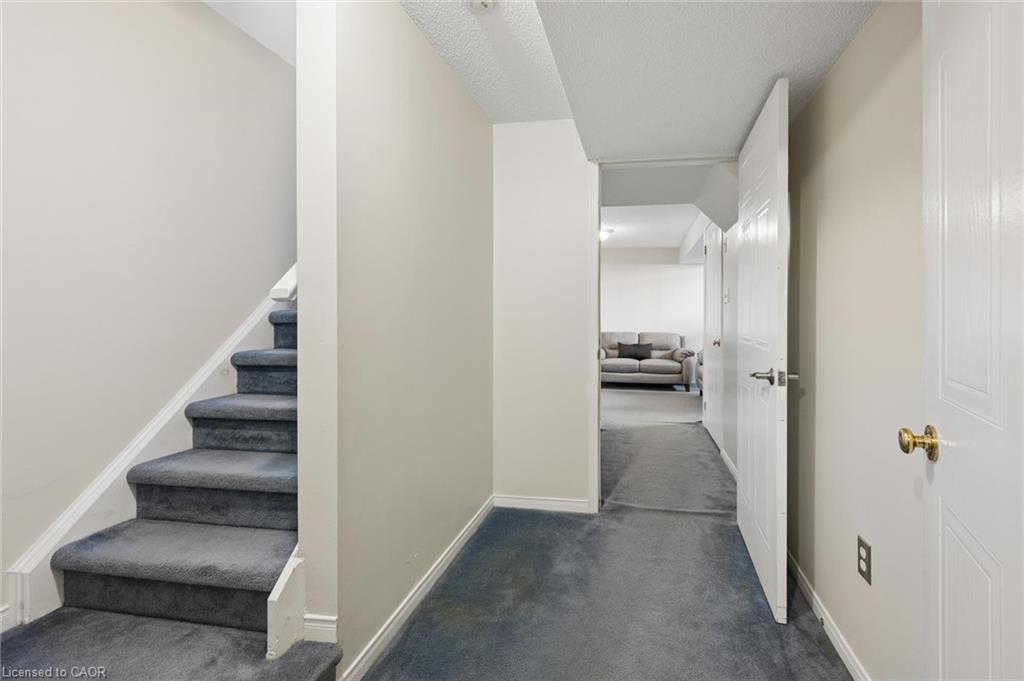 67 Apple Tree Drive Property Photo 25