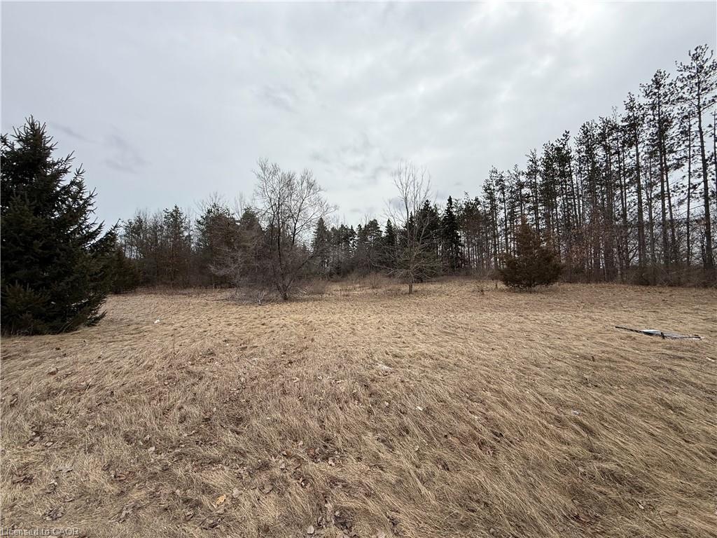 580 Queensway W Property Photo 3