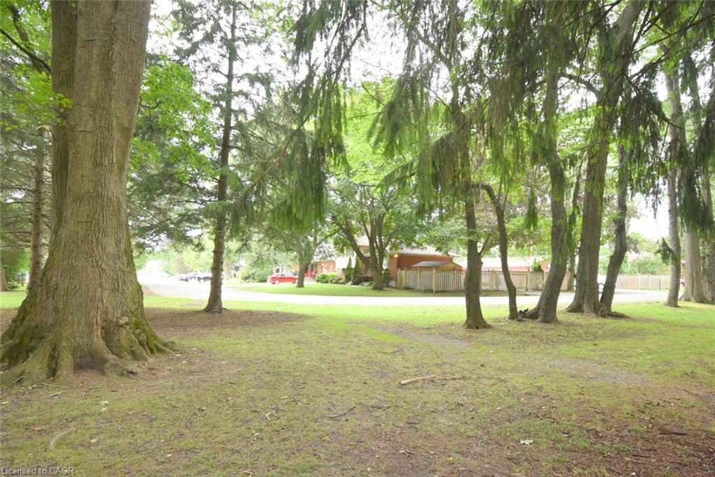 483 Annalee Drive Property Photo 42