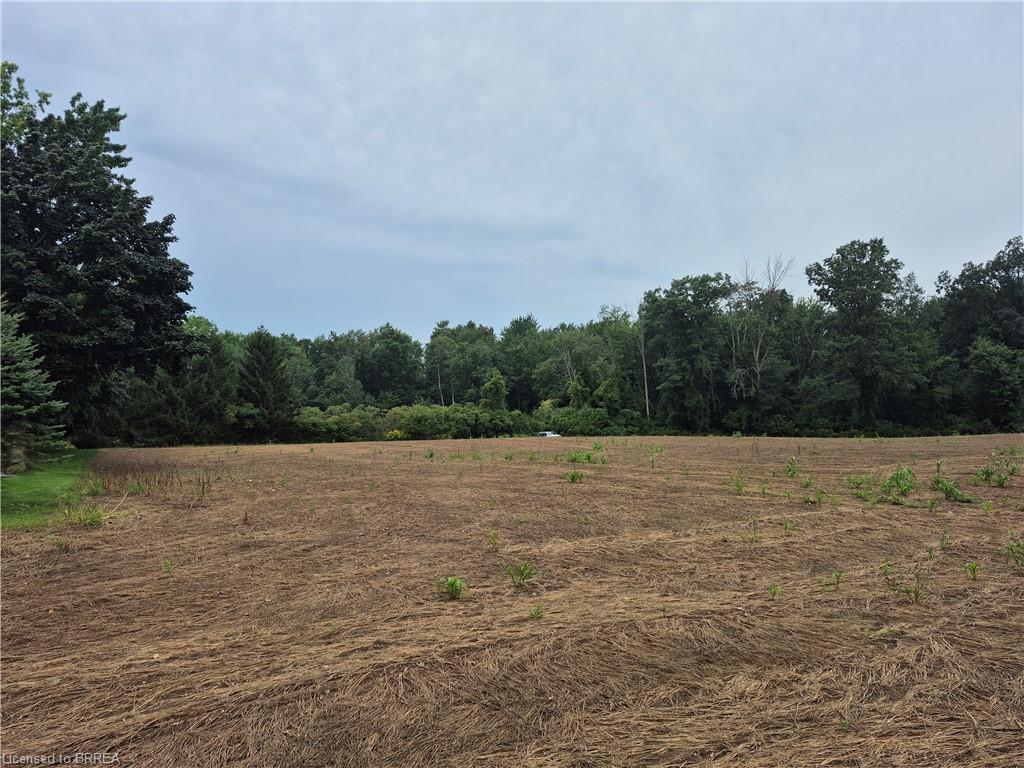 1 Seventh Concession Road Property Photo 1
