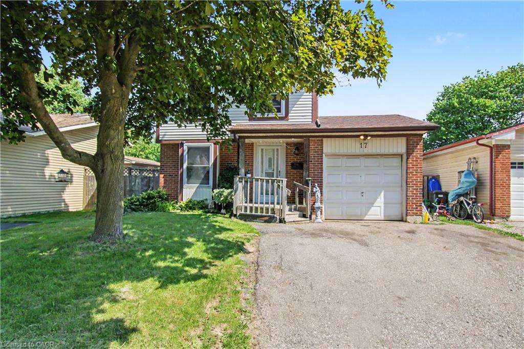 17 Hallmark Street Property Photo 4