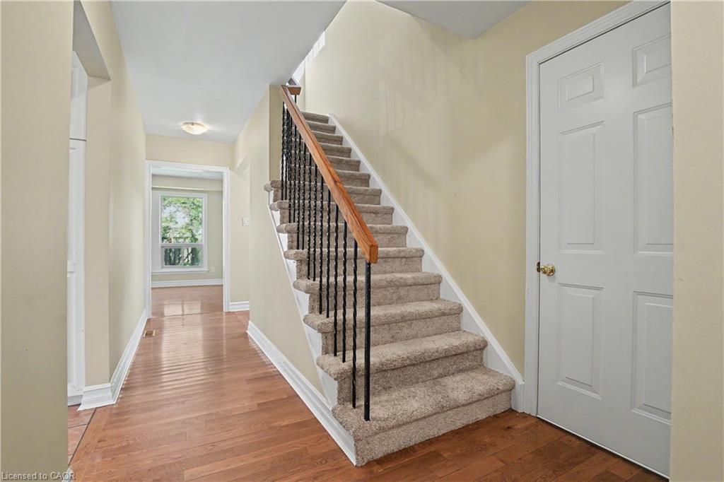 17 Hallmark Street Property Photo 7