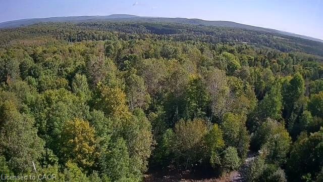 3275 Musclow-greenview Road Property Photo 3