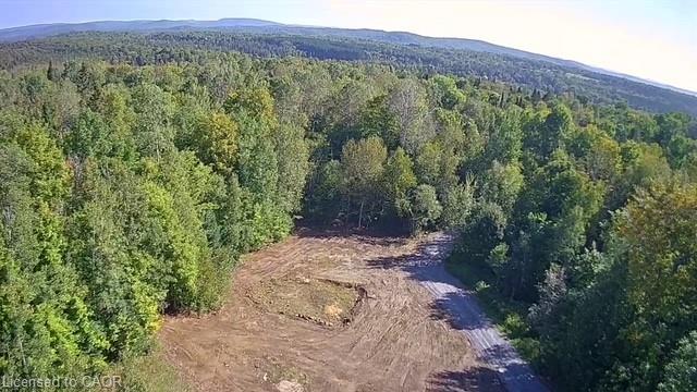 3275 Musclow-greenview Road Property Photo 4