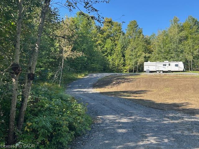 3275 Musclow-greenview Road Property Photo 8