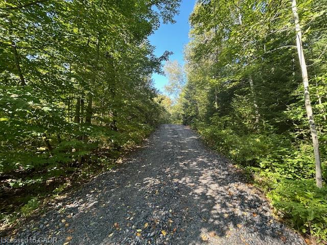 3275 Musclow-greenview Road Property Photo 20