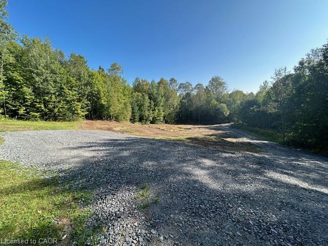 3275 Musclow-greenview Road Property Photo 22