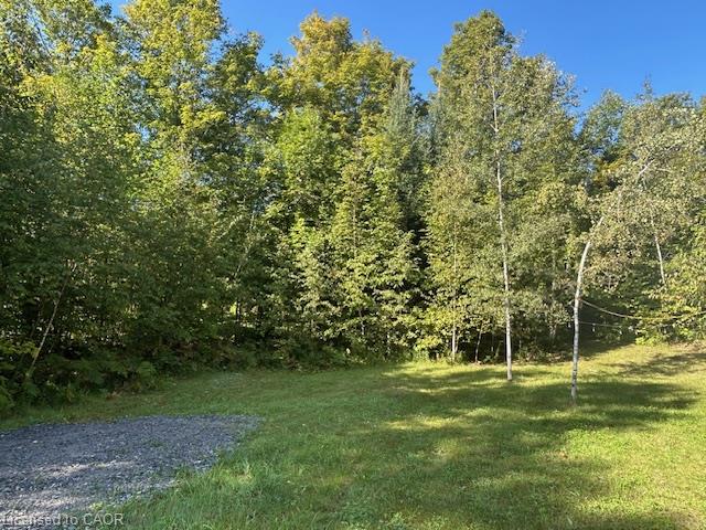 3275 Musclow-greenview Road Property Photo 23