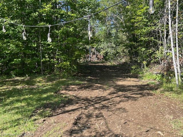 3275 Musclow-greenview Road Property Photo 27