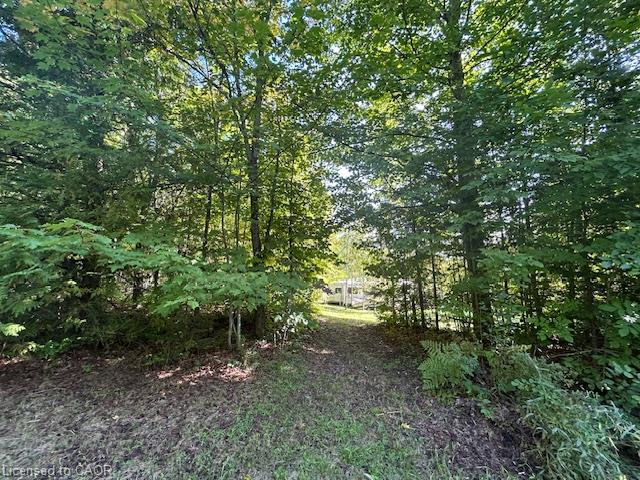 3275 Musclow-greenview Road Property Photo 30