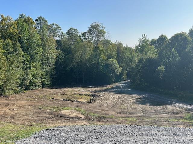 3275 Musclow-greenview Road Property Photo 33