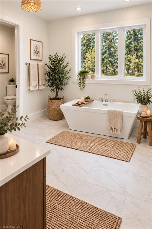 12 Albert Street Property Photo 20