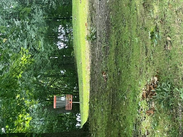 30 Proctor Avenue Property Photo 44