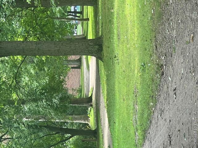 30 Proctor Avenue Property Photo 45