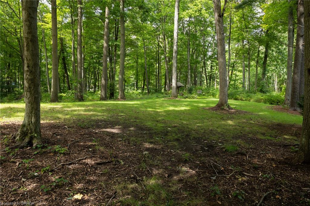 2605 Windham East Quarter Line Road Property Photo 4