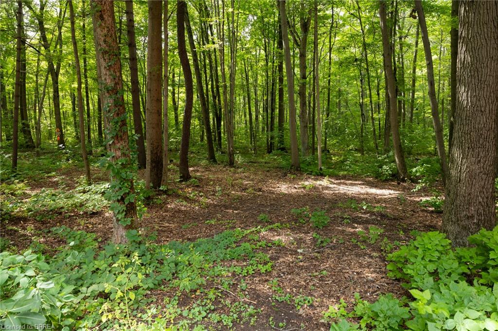 2605 Windham East Quarter Line Road Property Photo 8