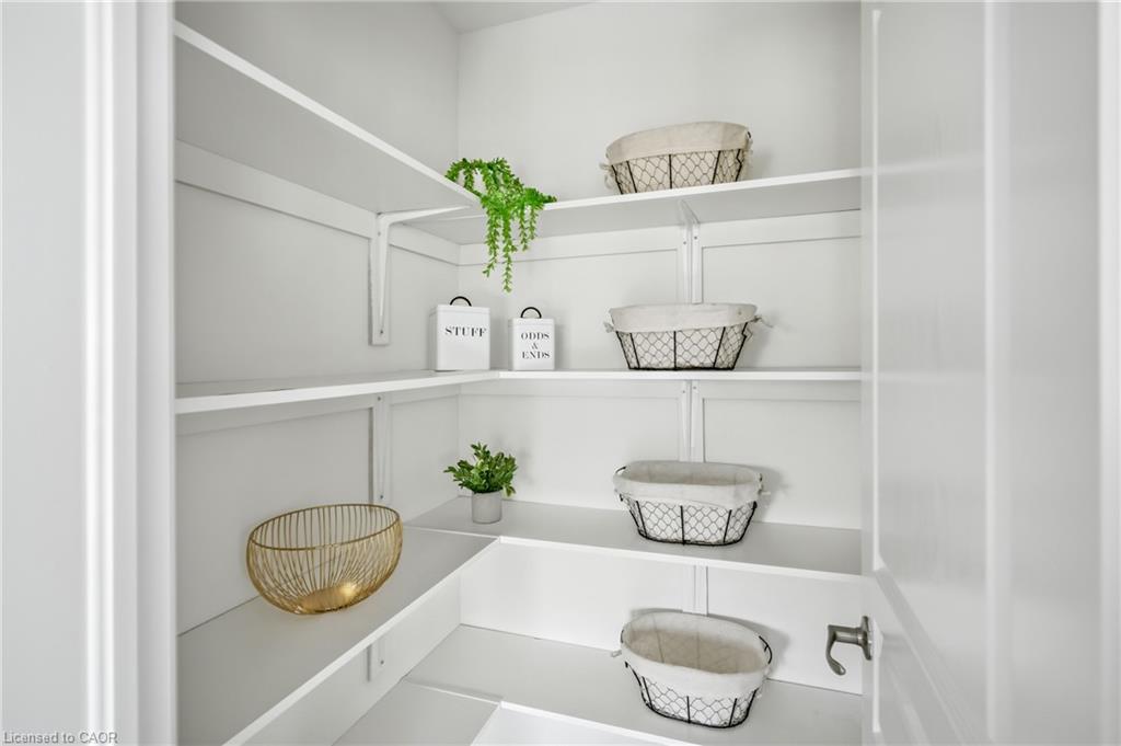 12 Riley Avenue Property Photo 15