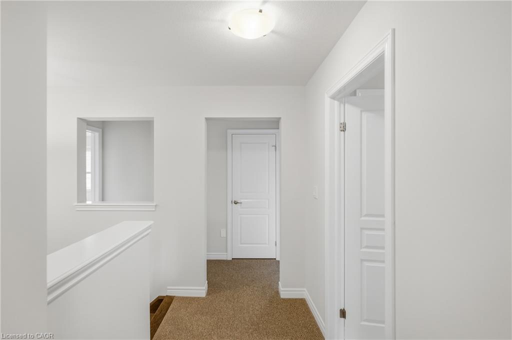 12 Riley Avenue Property Photo 21
