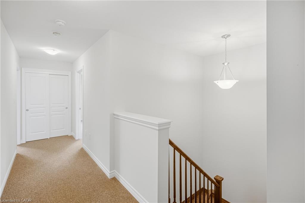 12 Riley Avenue Property Photo 32