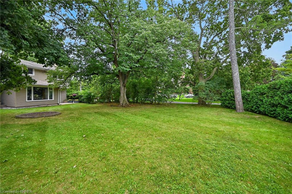 4 Gaywood Gardens Property Photo 46