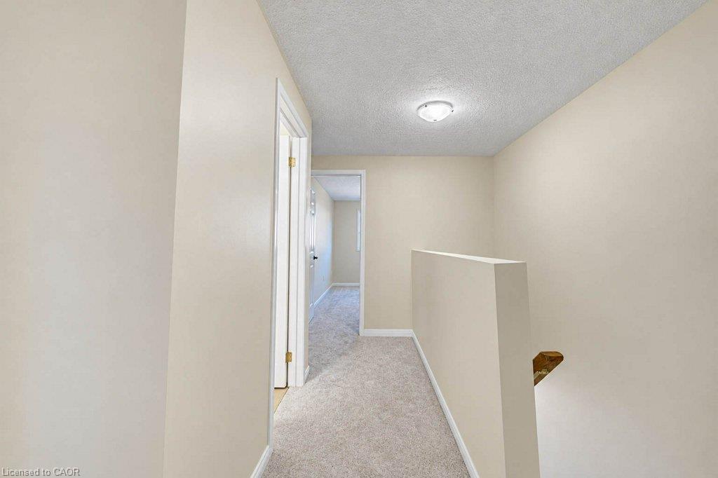 62 Chantilly Street Property Photo 21