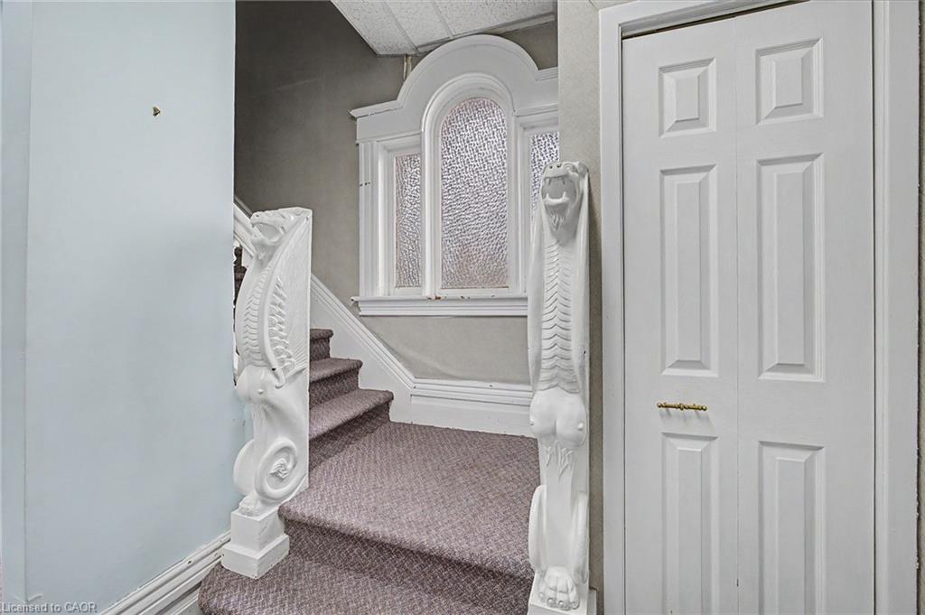 22 Harvey Street Property Photo 8