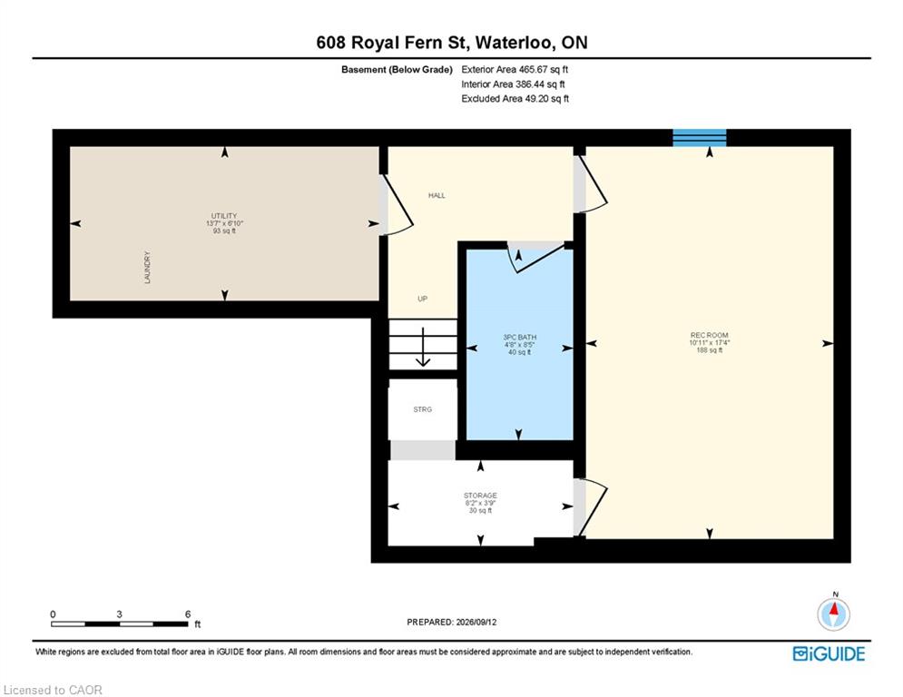 608 Royal Fern Street Property Photo 34