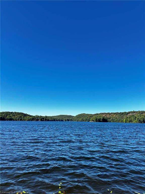 1257 Paint Lake Road Property Photo 26