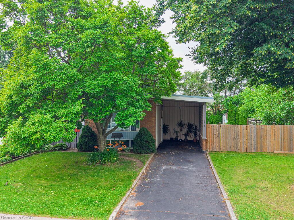 154 Luscombe Street Property Photo 4