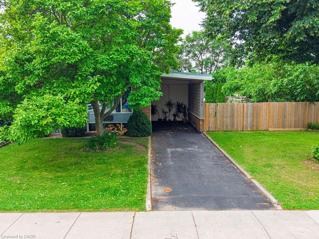 154 Luscombe Street Property Photo 34