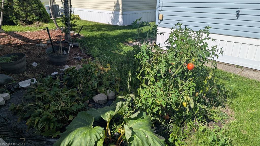 347-3033 Townline Road Property Photo 23