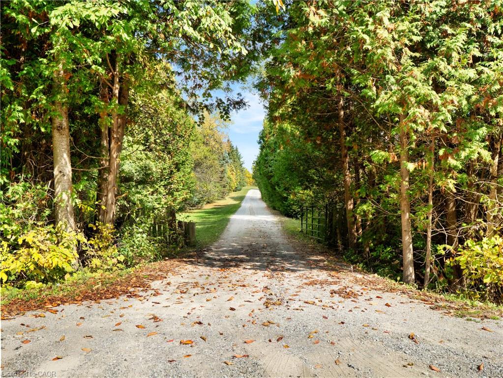 12613 Second Line Property Photo 35