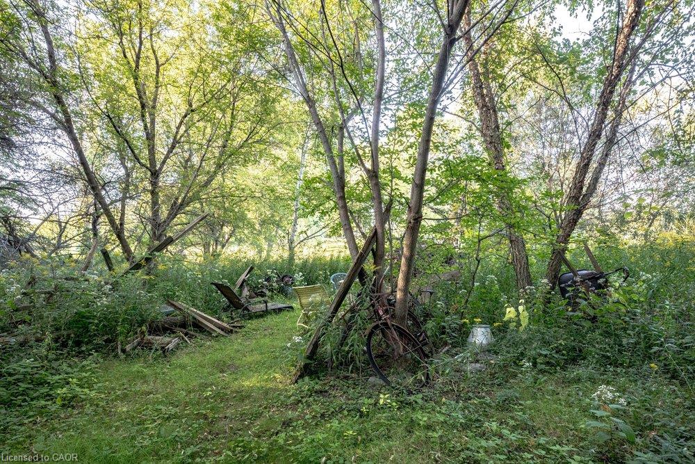 961 Lower Lions Club Road Property Photo 20