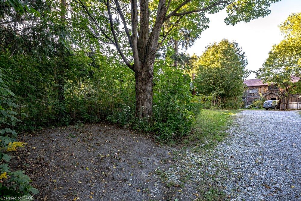 961 Lower Lions Club Road Property Photo 31