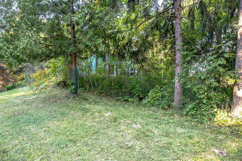 961 Lower Lions Club Road Property Photo 33