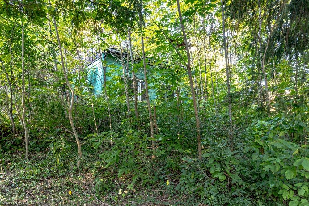961 Lower Lions Club Road Property Photo 36