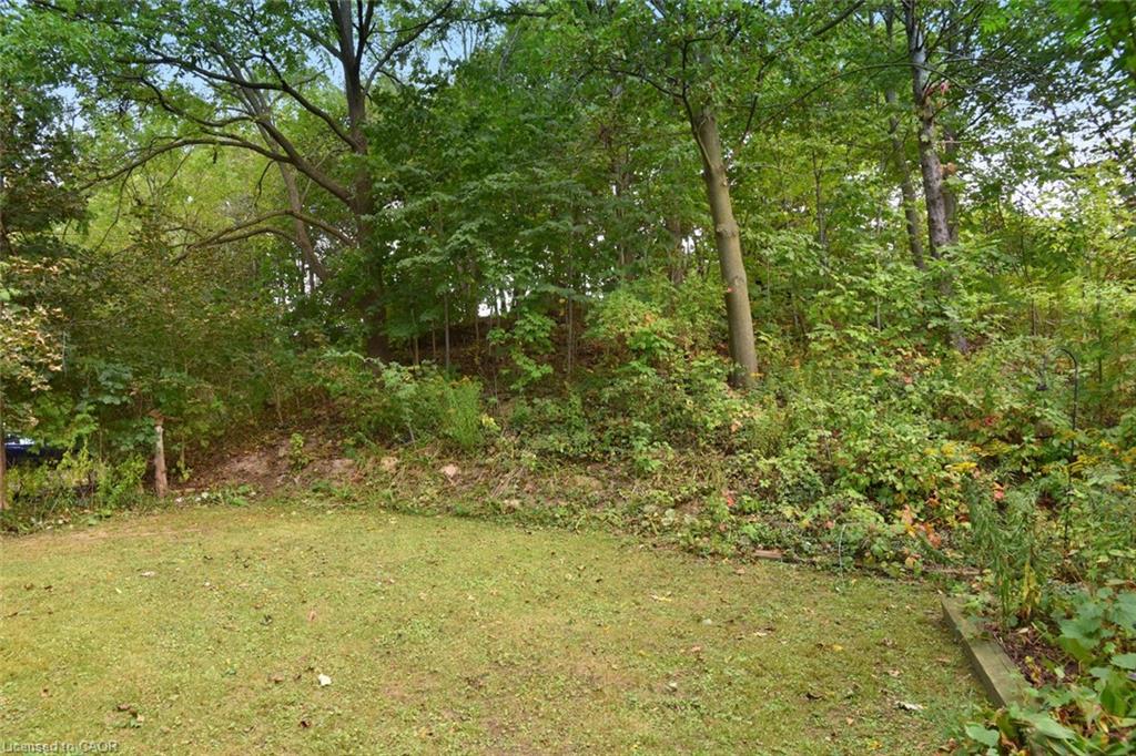 24 Delsey Street Property Photo 44