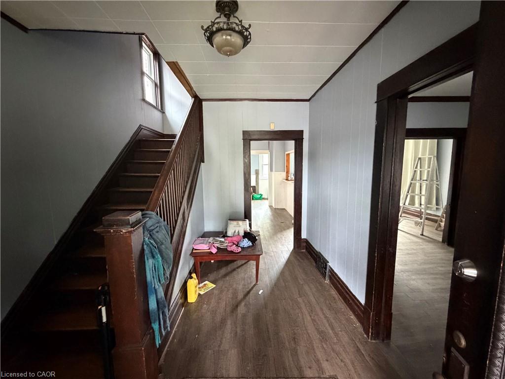 257 Alexandra Street Property Photo 7