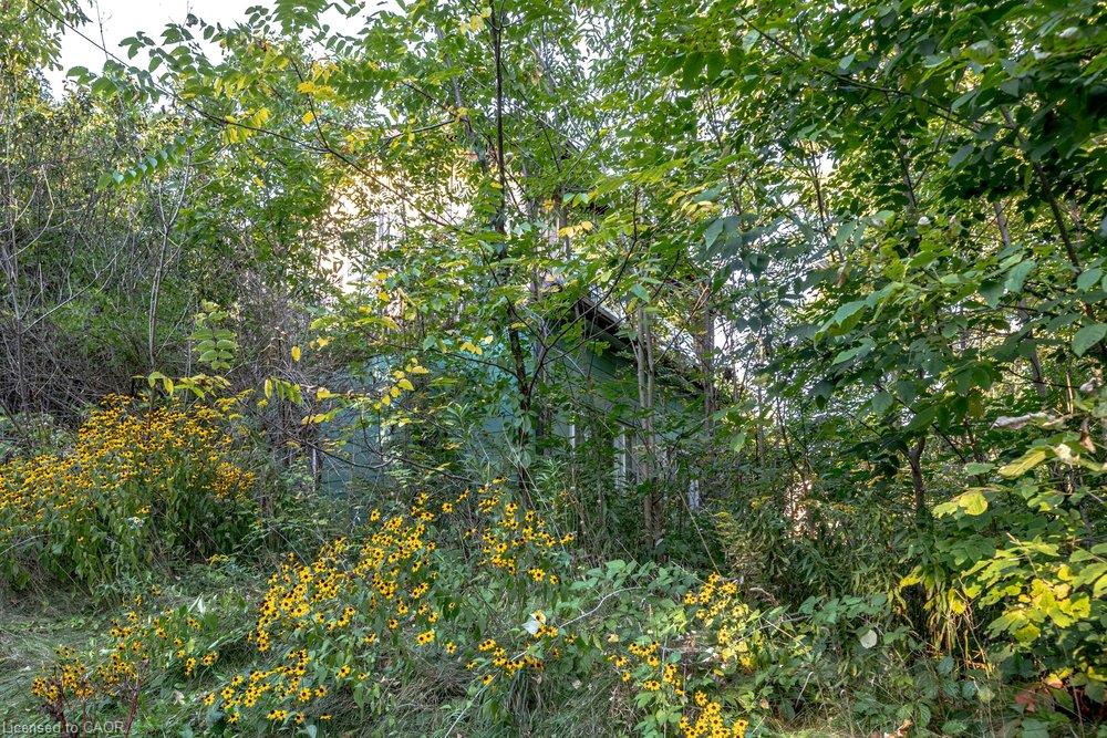 961 Lower Lions Club Road Property Photo 39