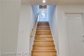 45a William Street Property Photo 33