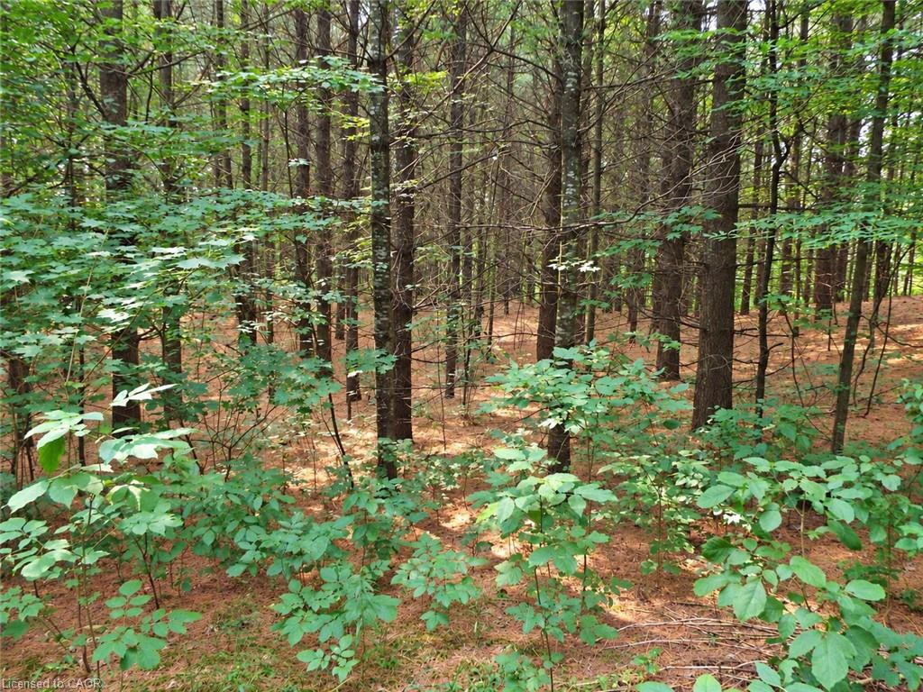1575 Concession 10 Road Property Photo 32