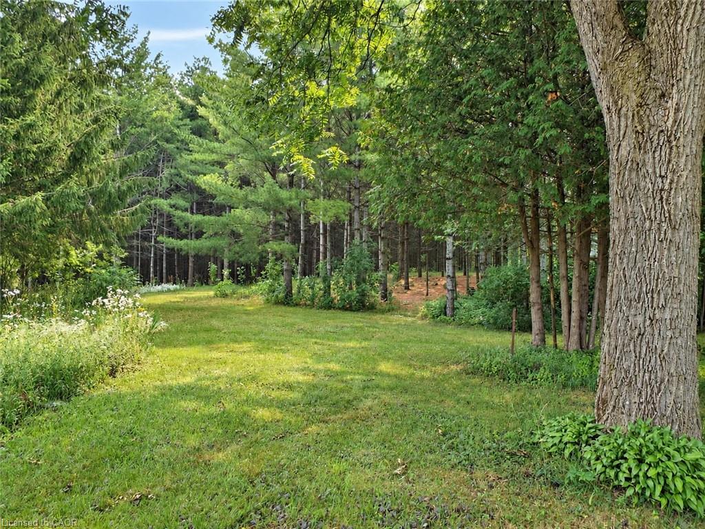 1575 Concession 10 Road Property Photo 34