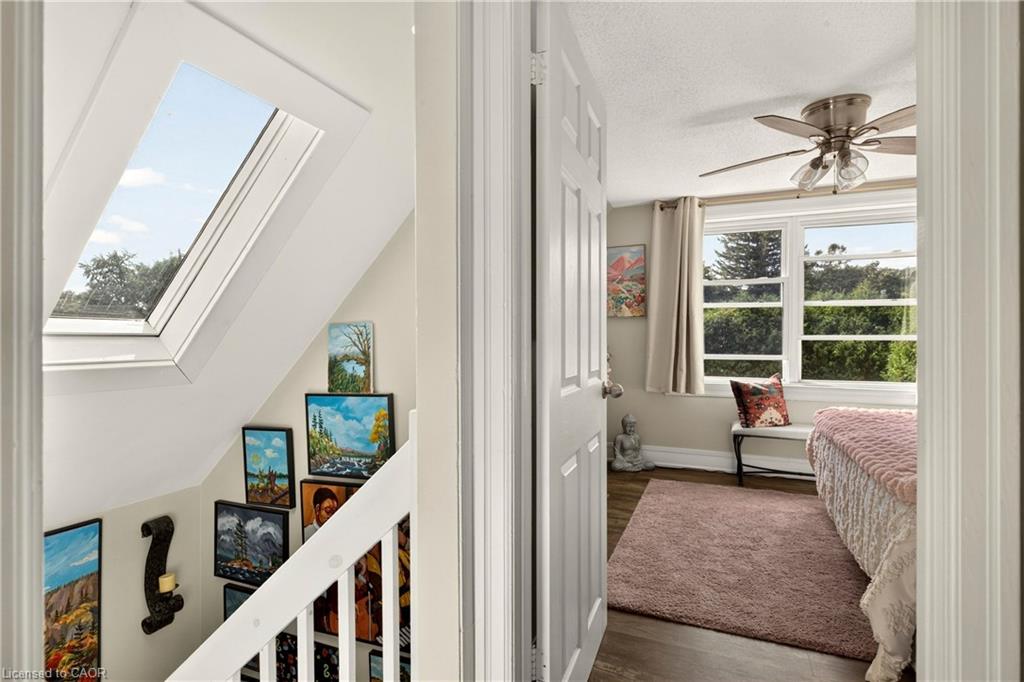 5 Cameron Avenue Property Photo 17