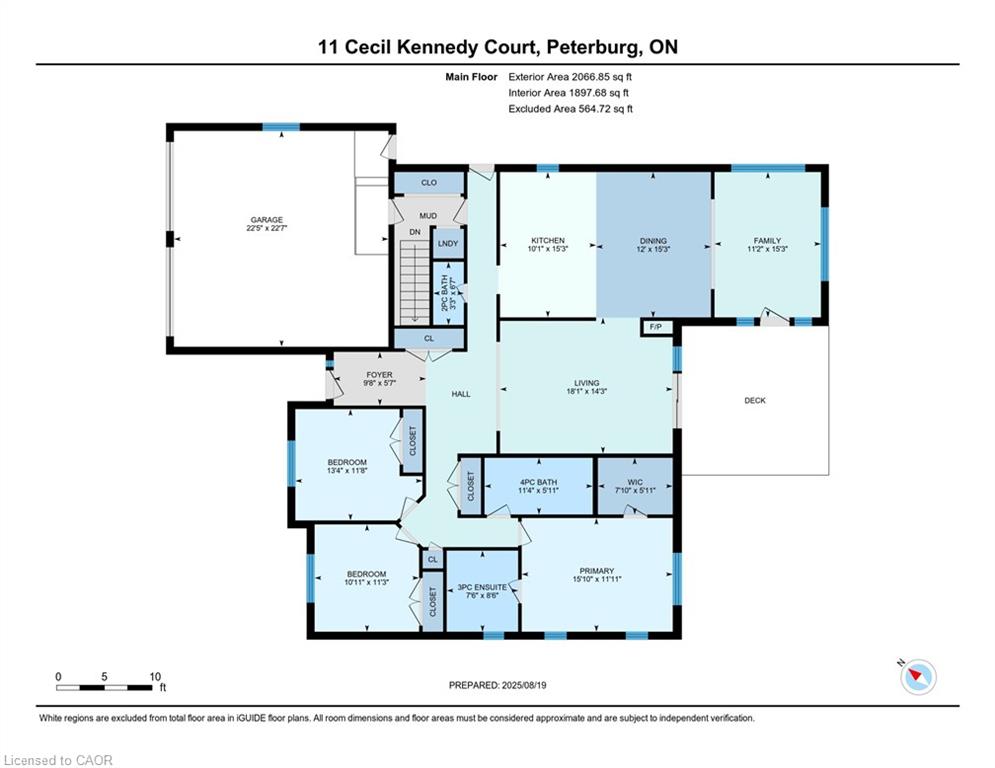 11 Cecil Kennedy Court Property Photo 46