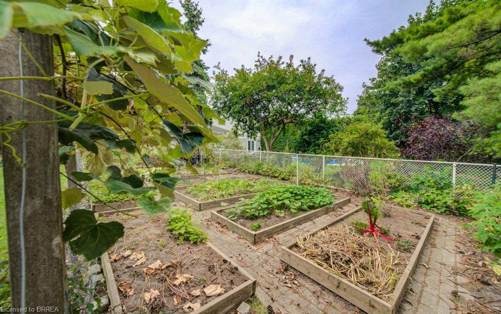 27 Olivetree Road Property Photo 45