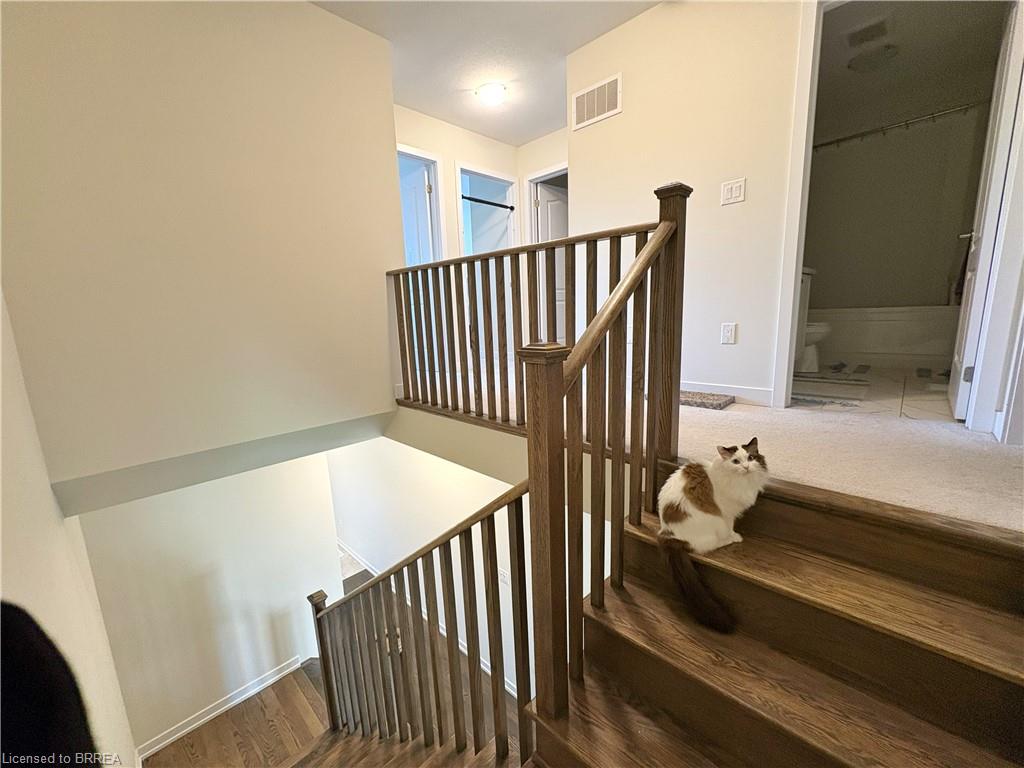 6 Owl Lane Property Photo 16