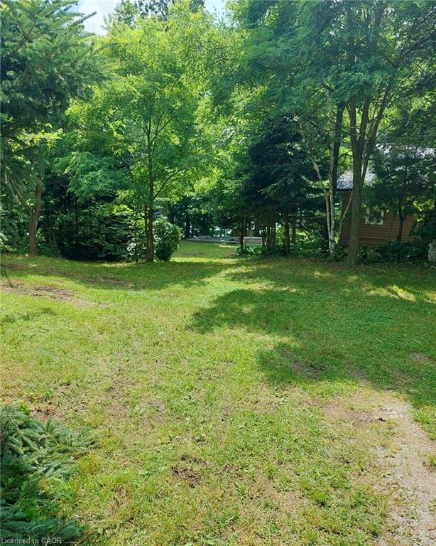 16431 Highway 35 Property Photo 27
