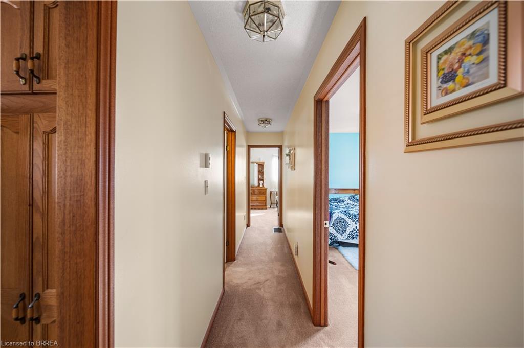 58 Olivetree Road Property Photo 14