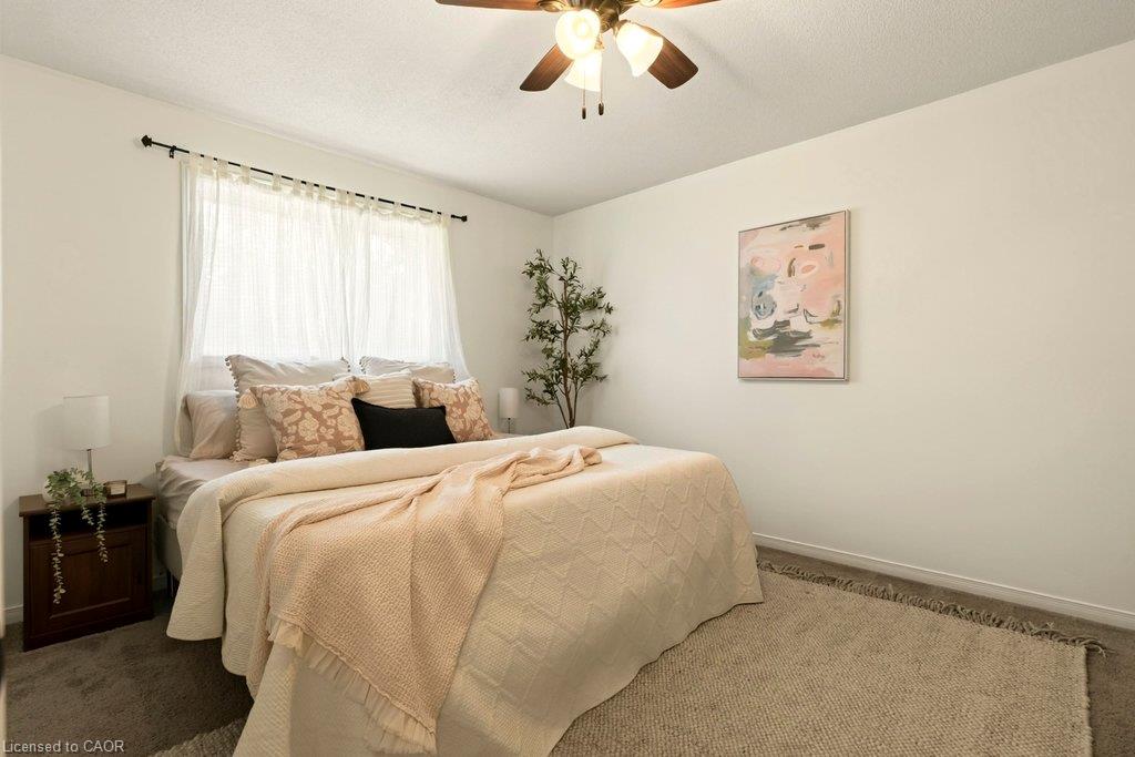 33 Albert Street Property Photo 15