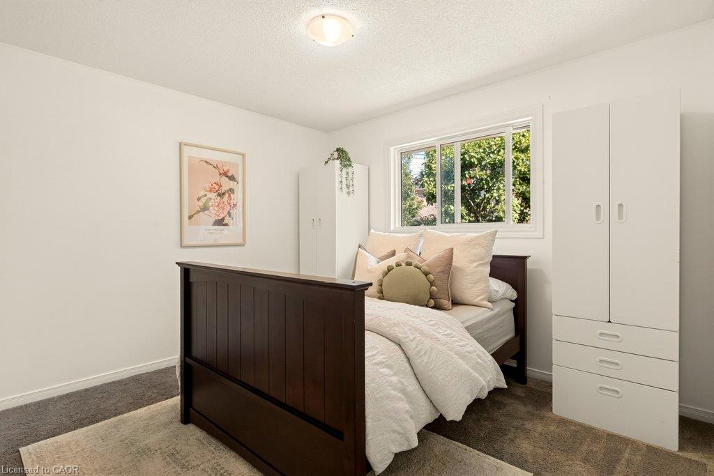33 Albert Street Property Photo 16